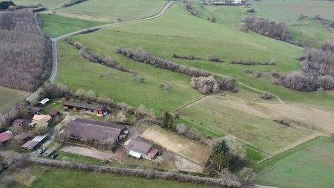 Kirrweiler Bauernhöfe, Landwirtschaft, Kirrweiler Forstwirtschaft