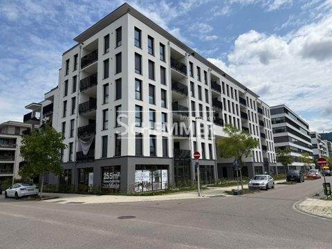 Freiburg im Breisgau Büros, Büroräume, Büroflächen 