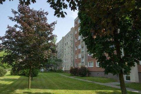 Dresden Wohnungen, Dresden Wohnung mieten