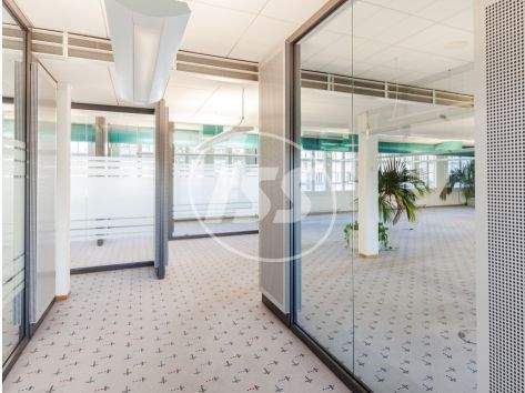 42 Musterbüro im OG