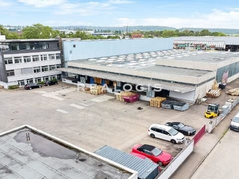 Kirchheim unter Teck Halle, Kirchheim unter Teck Hallenfläche