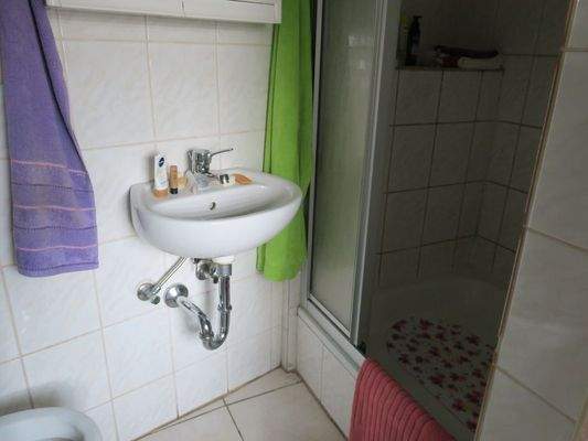 Gäste - WC mit Dusche im EG