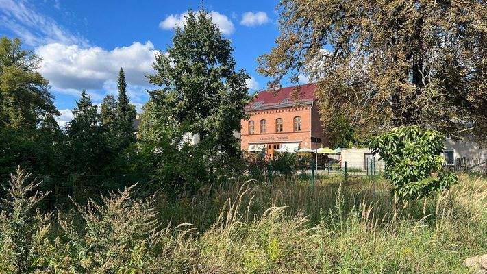 Vorgarten und Nachbarschaft