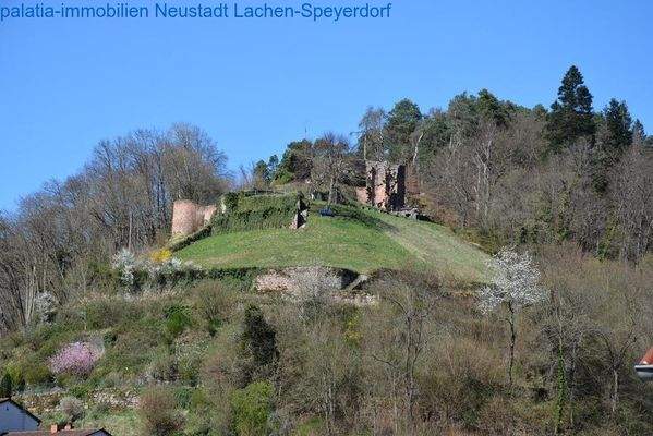 Bild 62