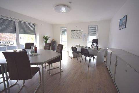 Edingen Halle, Edingen Hallenfläche