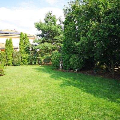 Haus-Pohlheim-Heinrich-Lübke-Ring 13-50138-Garten 