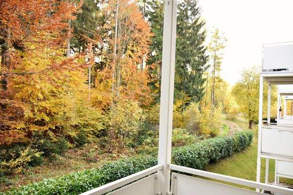 fa Blick vom Balkon.JPG