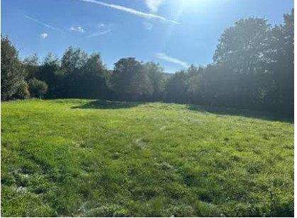 Minden Grundstücke, Minden Grundstück kaufen