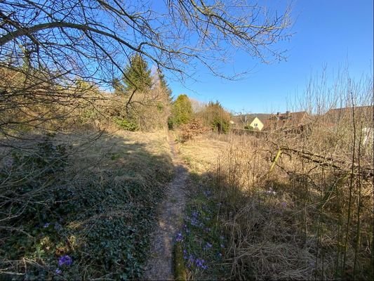 Blick aufs Grundstück