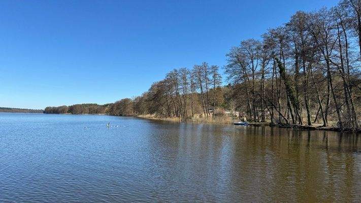 Groß (IMG_6547).jpeg