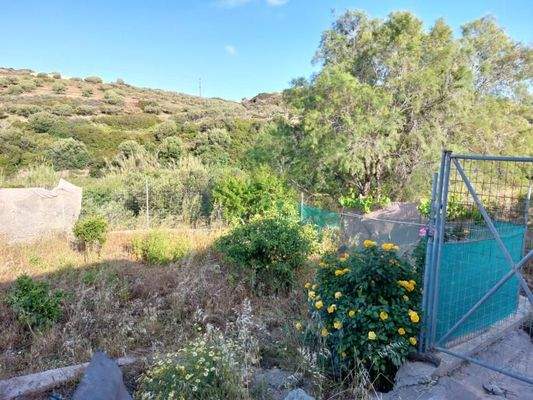 Ostkreta, Mertidia: Tolles Steinhaus mit Garten nahe dem Meer zu verkaufen