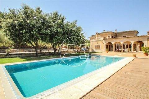 Algaida Häuser, Algaida Haus kaufen