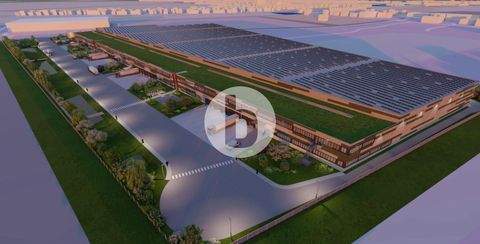 Hildesheim Halle, Hildesheim Hallenfläche