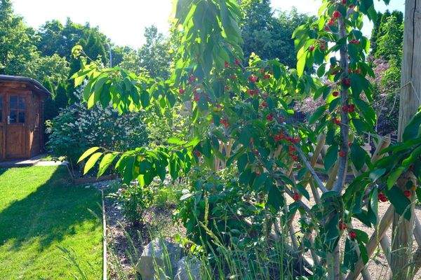 12.06. BS124 Garten (16)