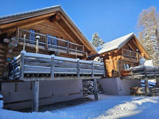 Golden Eagle & Sleepy Bear