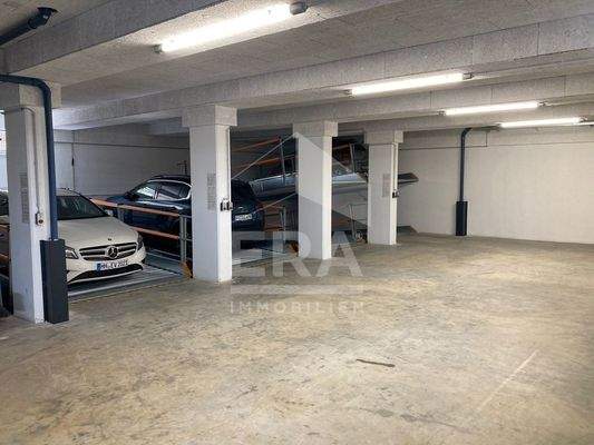 WhatsApp Image 2023-08-12 at 12.39.47