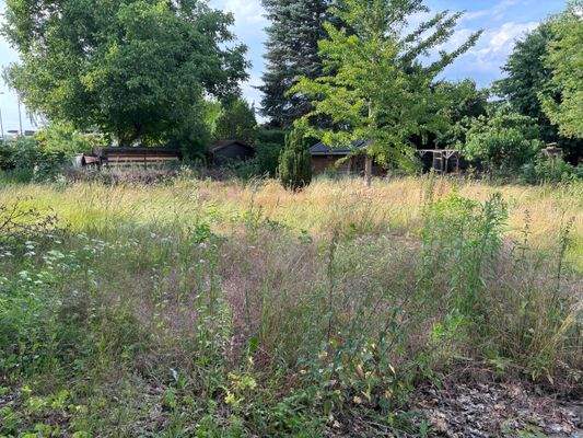 Blick auf das Grundstück