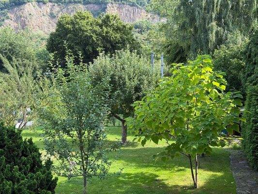 weitere Ansicht vom Grundstück