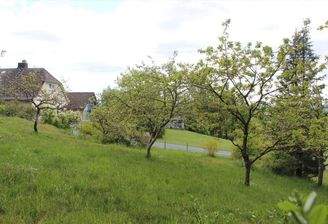 Gartenansicht