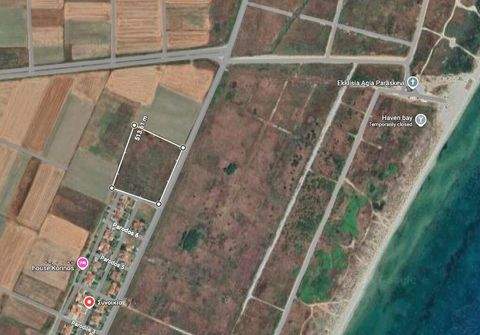 Olympische Riviera Bauernhöfe, Landwirtschaft, Olympische Riviera Forstwirtschaft