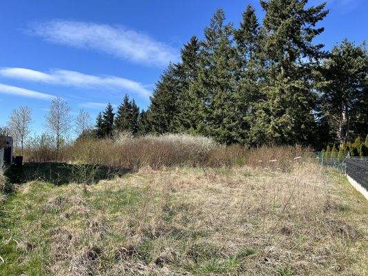 Bild vom Grundstück