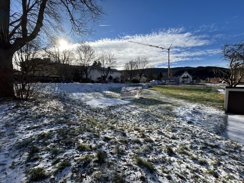 Titisee-Neustadt Wohnungen, Titisee-Neustadt Wohnung kaufen