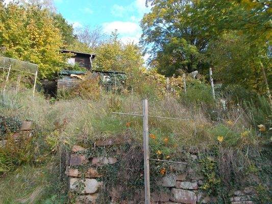 Gartenhaus 2 und Geräteschuppen