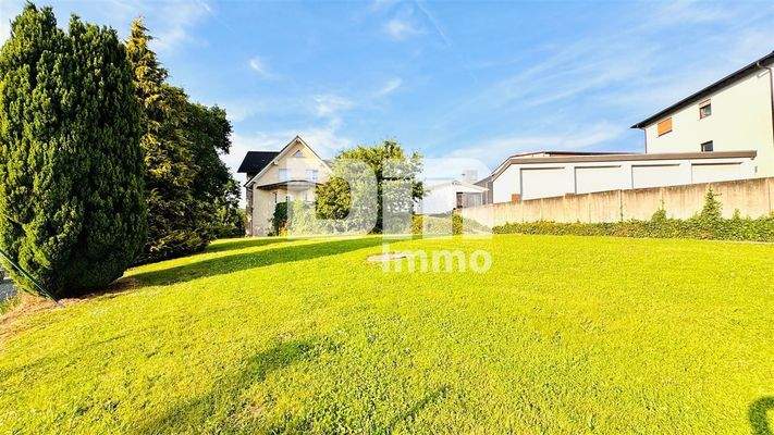 Opulenter Vorgartenbereich / Zuweg Wohnhaus