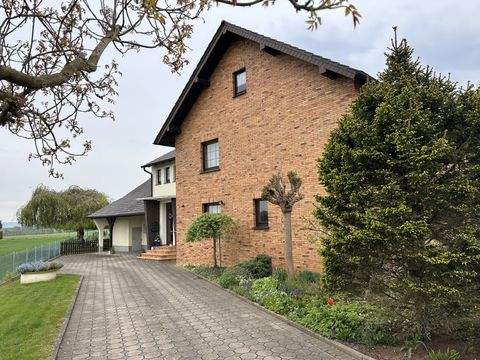Bad Oeynhausen Halle, Bad Oeynhausen Hallenfläche