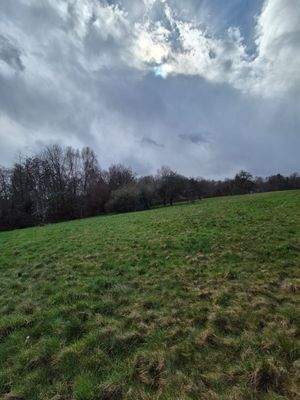 An Grundstück angrenzendes Ackerland