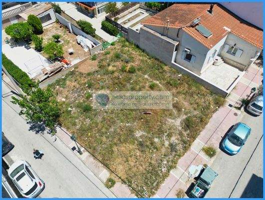 ebf08378cc4448cd9e12960a96be52fd-original