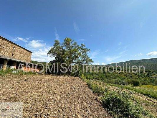 Haus mit Grundstück