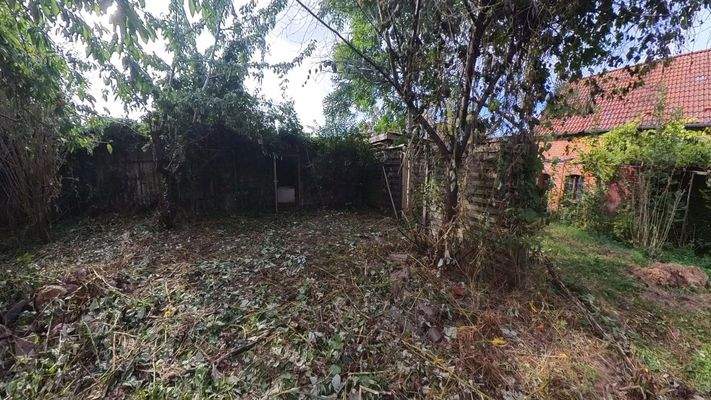 Garten zum Stall/Carport