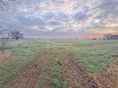 Isselburg - Werth Bauernhöfe, Landwirtschaft, Isselburg - Werth Forstwirtschaft