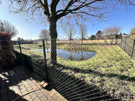 Blick hinten aus dem Garten