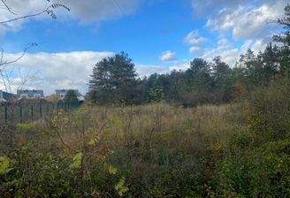 BB und Grünlandfläche