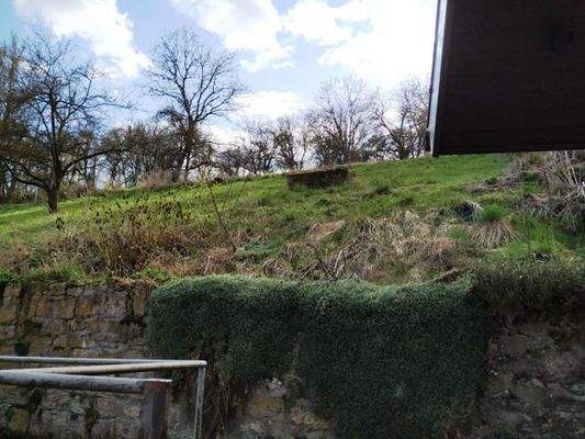 Garten und angrenzendes Baumgrundstück