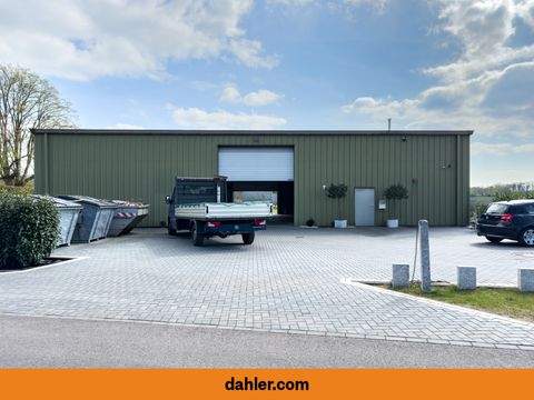 Ribbesbüttel / Druffelbeck Halle, Ribbesbüttel / Druffelbeck Hallenfläche