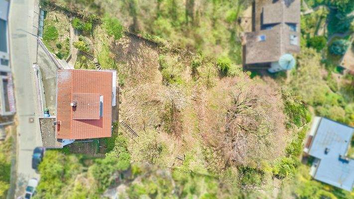 Ansicht aufs Grundstück