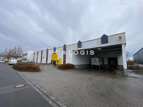 Leipzig Halle, Leipzig Hallenfläche