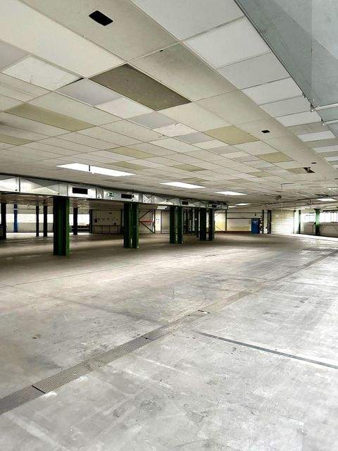 Hessisch Lichtenau Halle, Hessisch Lichtenau Hallenfläche