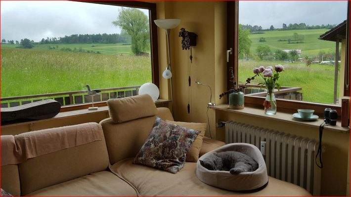 Blick aus dem Wohnzimmer