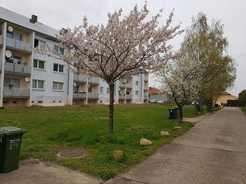 Osternienburger Land Wohnungen, Osternienburger Land Wohnung mieten