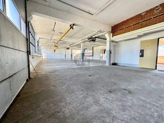 Halle Nordseite mit 250m²