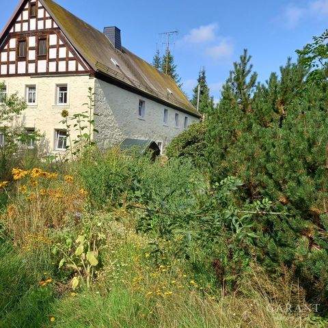 Selb Häuser, Selb Haus kaufen