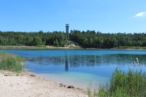 felixsee1.jpg