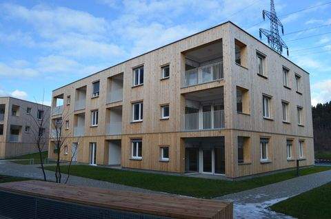Bludenz Wohnungen, Bludenz Wohnung kaufen