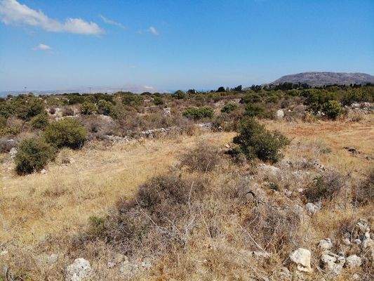 Kreta, Vamos: Malerisches Grundstück zum Verkauf im idyllischen Dorf