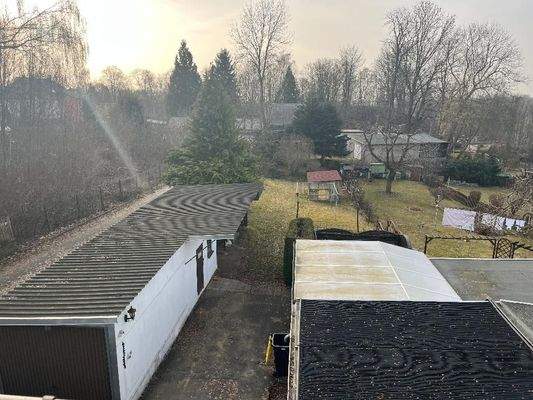 Blick über das sonnige Grundstück