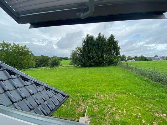 ... view from a bathroom